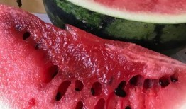 翰林府国产吃瓜爆料