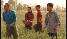 电视剧五男二女大结局,命运交织的终极抉择