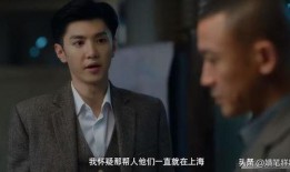 最新国安反间谍电视剧,揭秘国安反间谍风云录