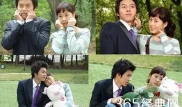 金三顺电视剧,爱情与命运的浪漫交响曲